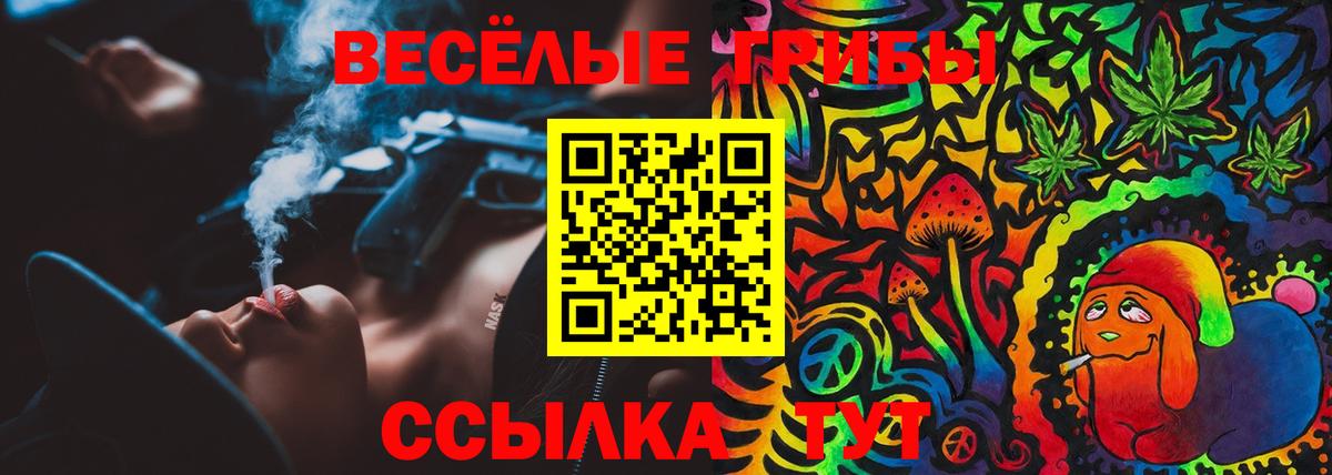 Псилоцибиновые грибы Cubensis Семилуки